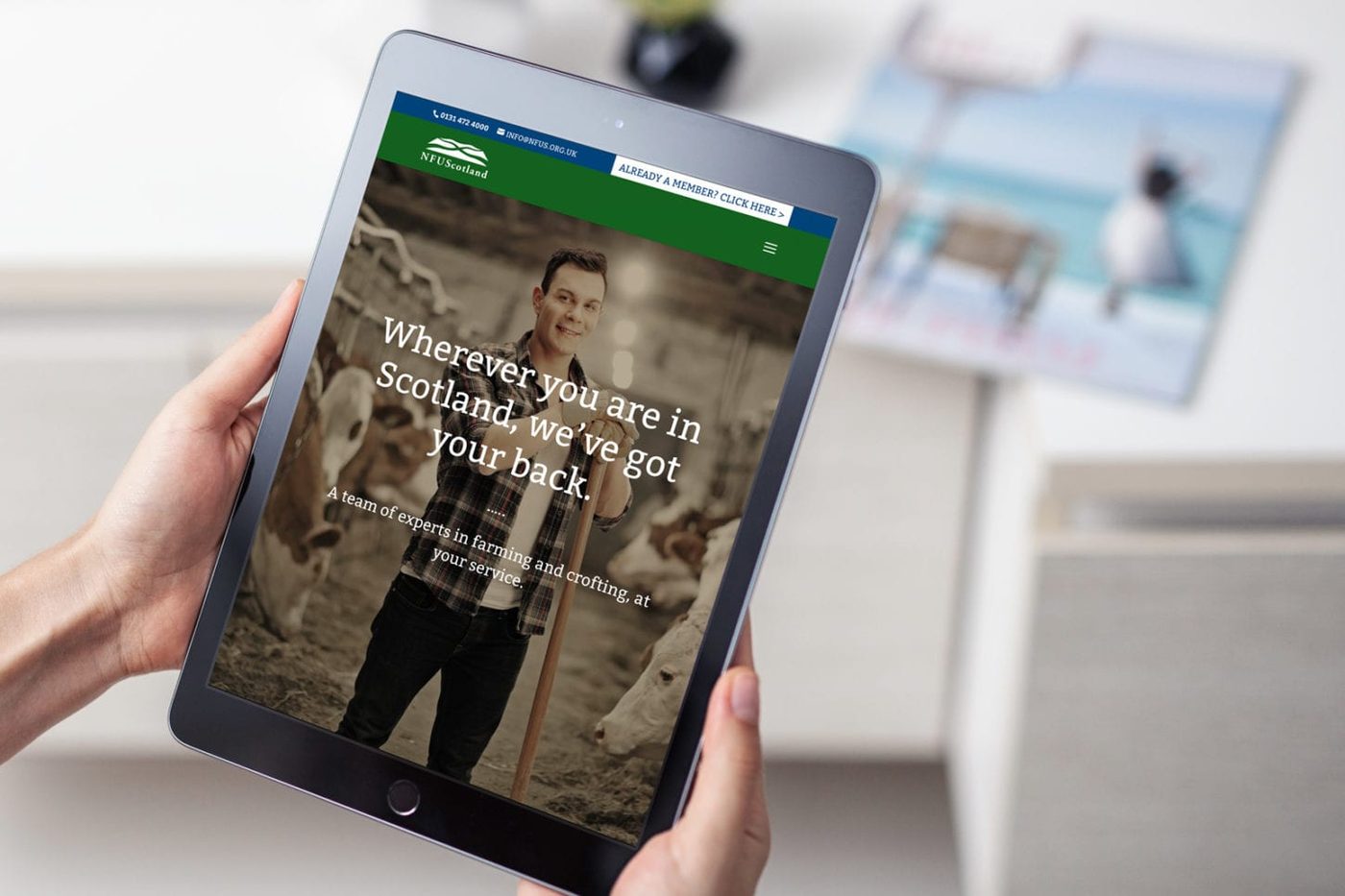 Accessible responsive website design